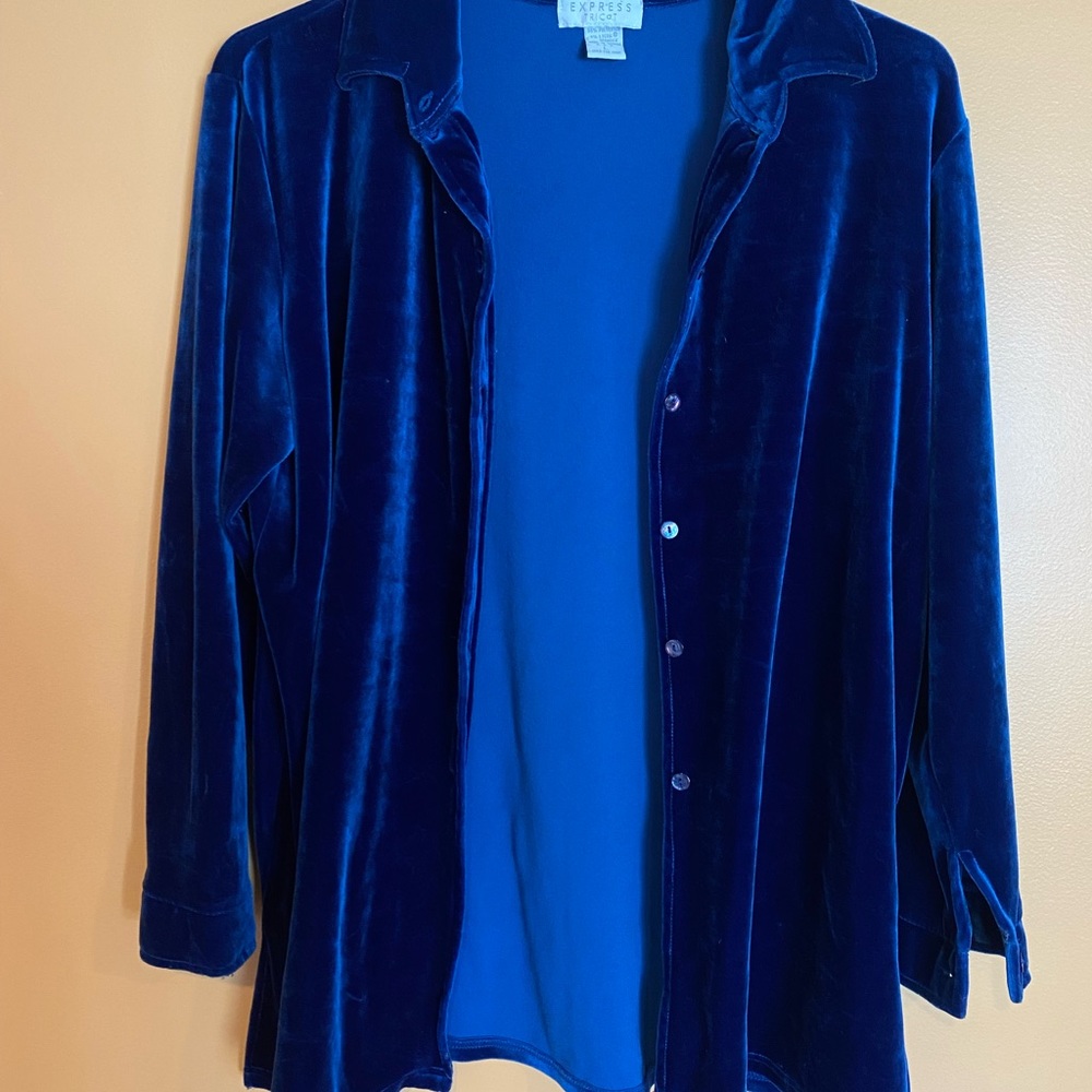 Velvet blue collared shirt Large Vintage Express Button Down